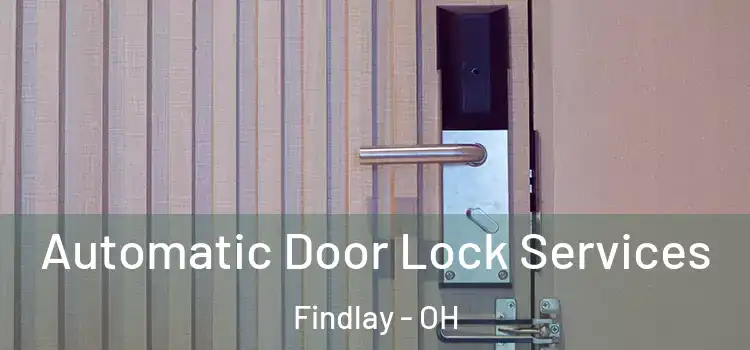 Automatic Door Lock Services Findlay - OH
