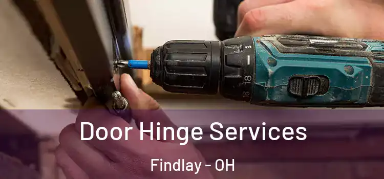 Door Hinge Services Findlay - OH