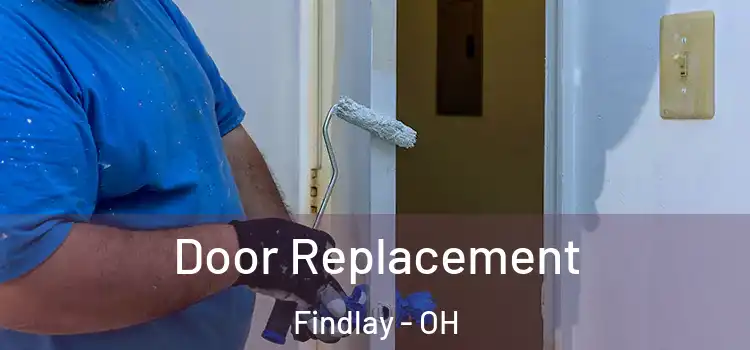 Door Replacement Findlay - OH