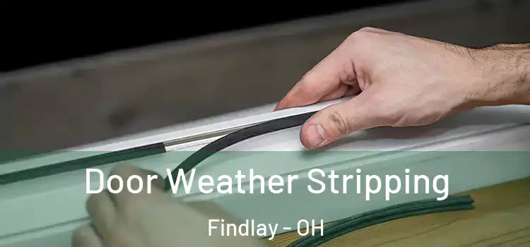 Door Weather Stripping Findlay - OH