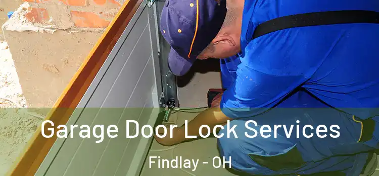 Garage Door Lock Services Findlay - OH