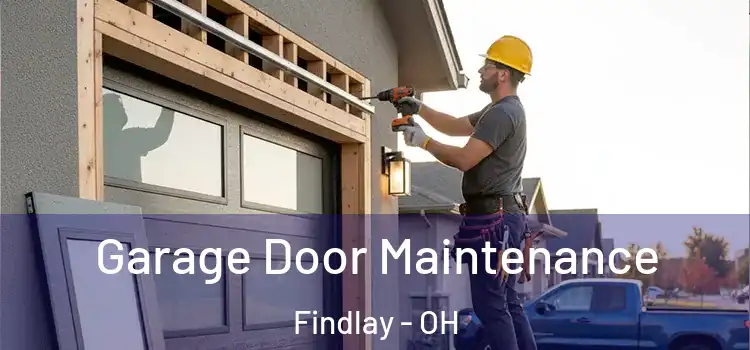 Garage Door Maintenance Findlay - OH
