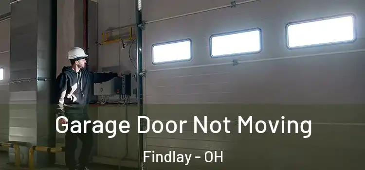  Garage Door Not Moving Findlay - OH