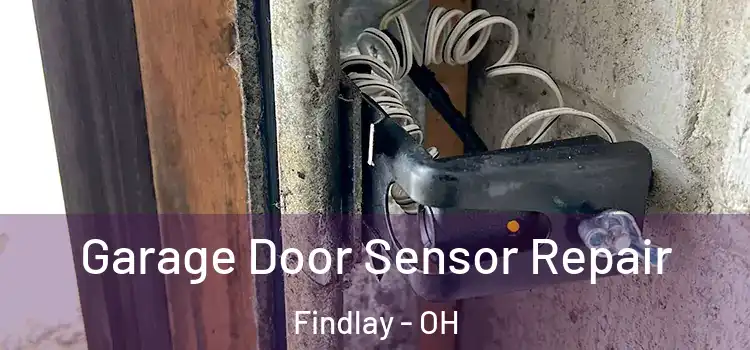 Garage Door Sensor Repair Findlay - OH