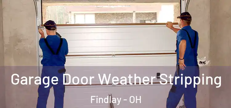  Garage Door Weather Stripping Findlay - OH