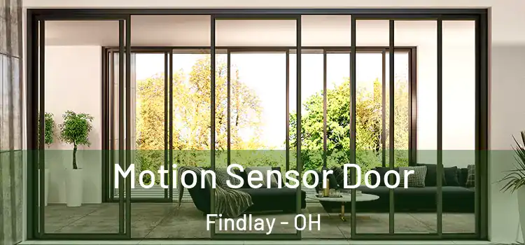 Motion Sensor Door Findlay - OH
