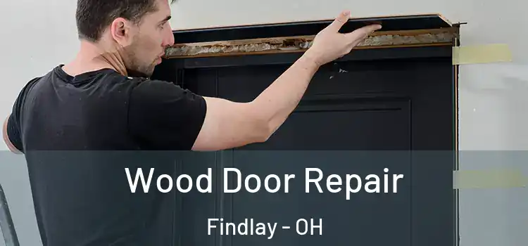 Wood Door Repair Findlay - OH